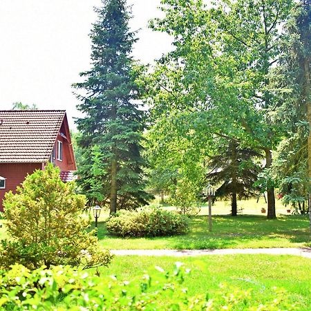 Center Angelos Bronków Екстериор снимка