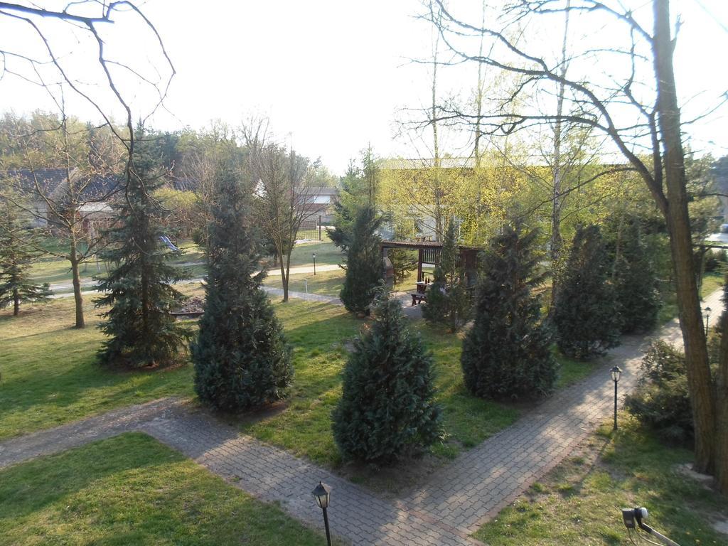 Center Angelos Bronków Стая снимка