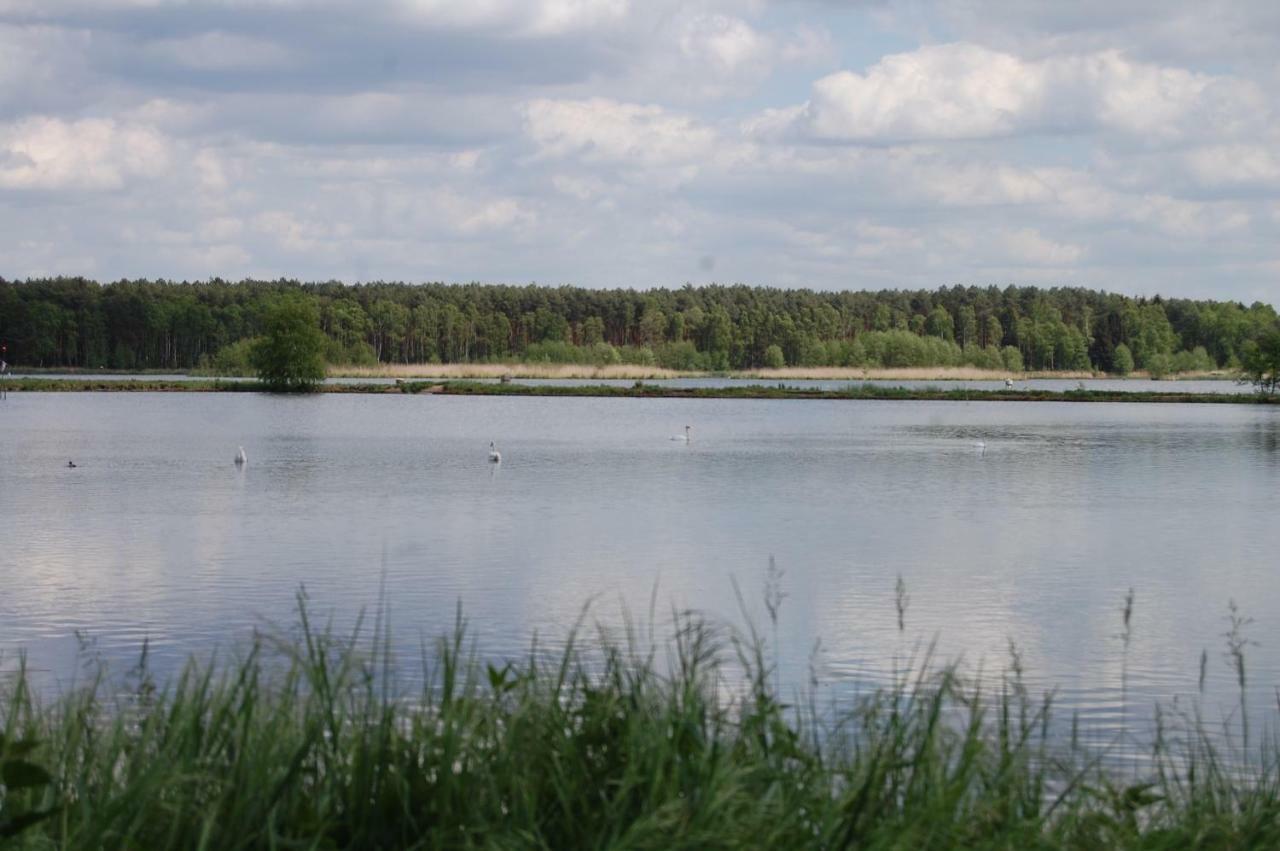 Center Angelos Bronków Екстериор снимка
